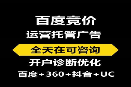 某某SEM团队成功案例：广告投放策略揭秘